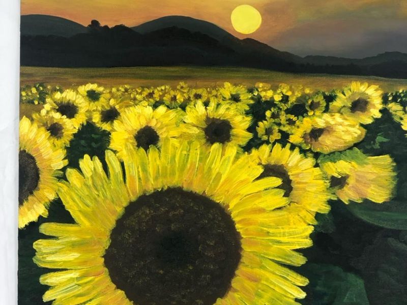 whatsapp image 2024 08 22 at6.25.50 whatsapp image 2024 08 22 at6.25.50