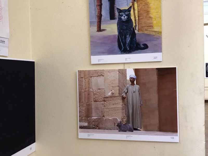 whatsapp image 2023 071 at5.12.03   whatsapp image 2023 071 at5.12.03